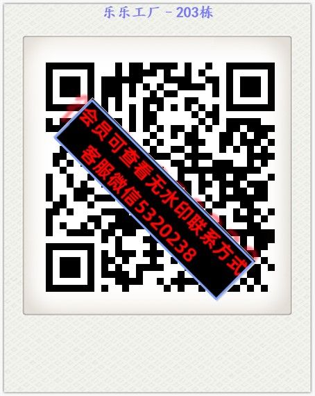 乐乐工厂–203栋