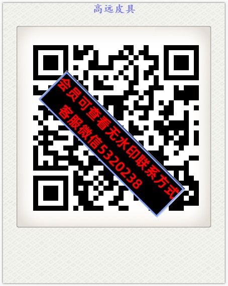 高远皮具 高远皮具
