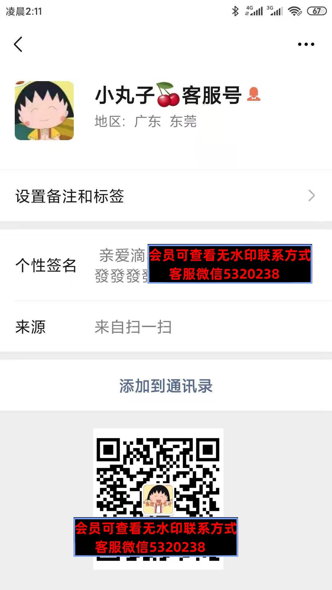 小丸子 小丸子