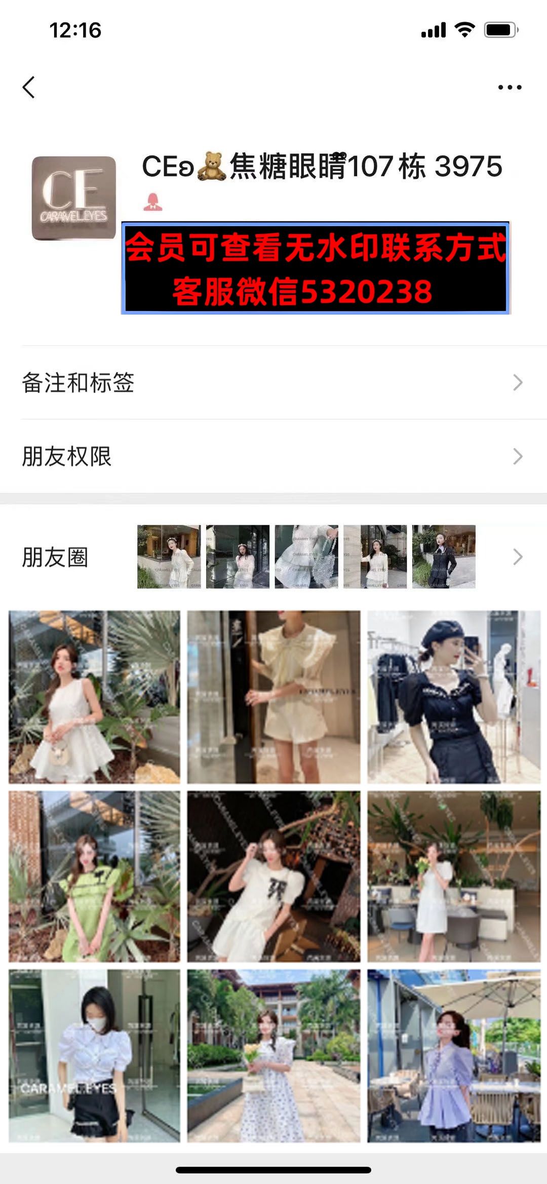深圳南油107栋CE焦糖眼睛 深圳南油107栋CE焦糖眼睛