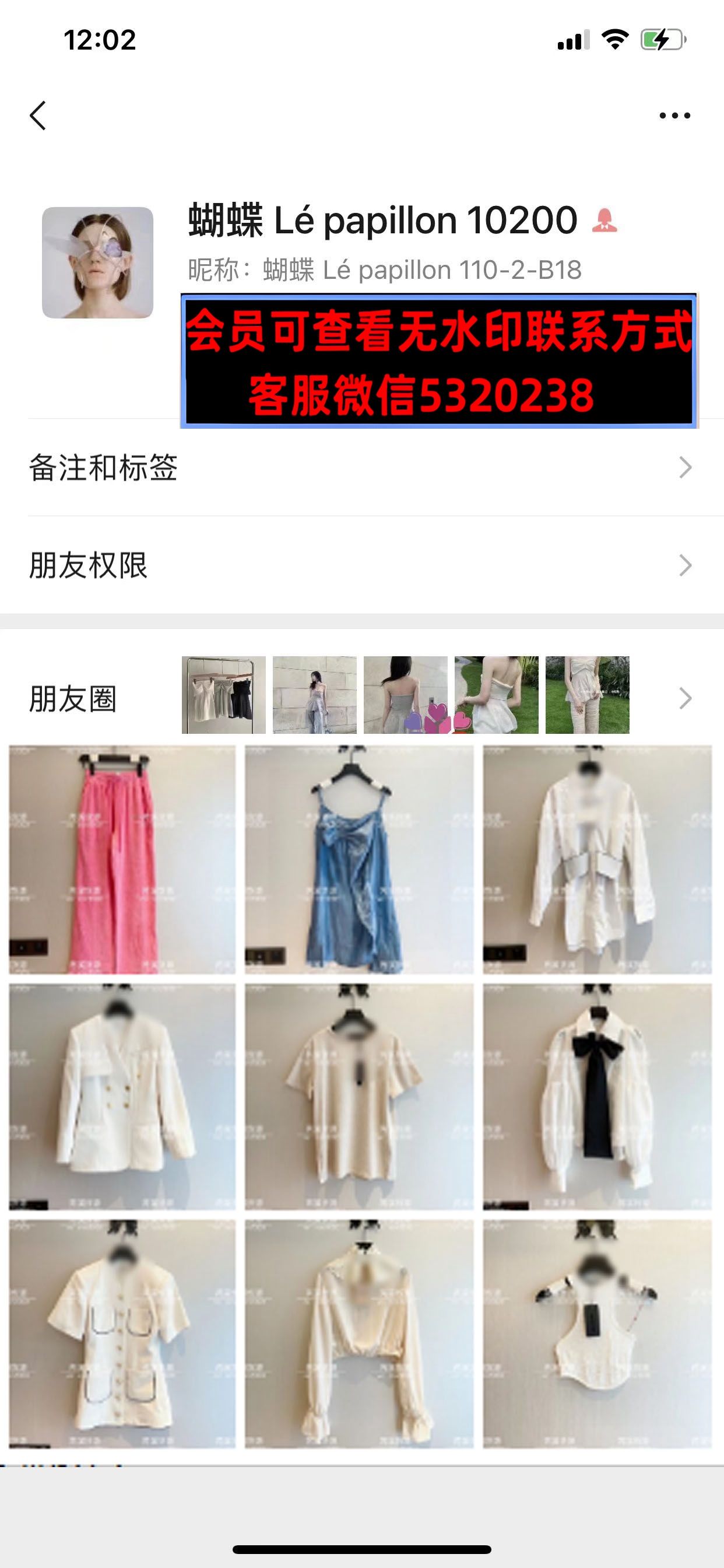 深圳南油1102B18蝴蝶lepapillon 深圳南油1102B18蝴蝶lepapillon