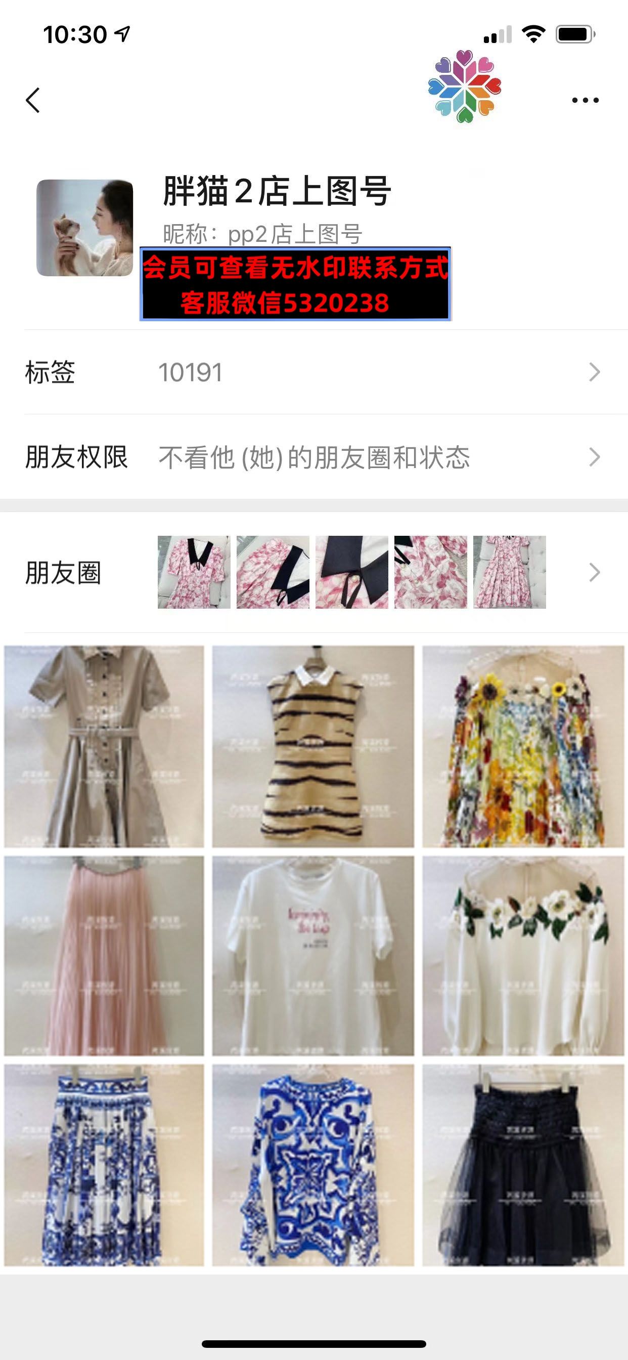 深圳南油胖猫 深圳南油胖猫