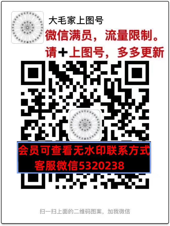 深圳南油高端女装小凤凰1114D409 深圳南油高端女装小凤凰1114D409
