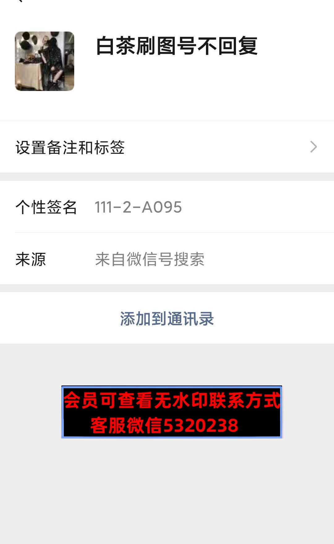 白茶 白茶