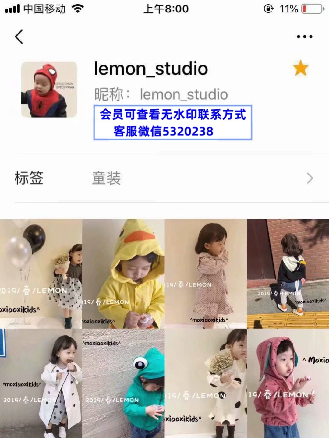 lemon studio