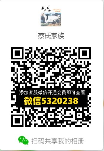 常熟外贸村微商相册 (304)