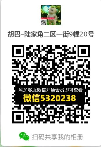 常熟外贸村微商相册 (581) 常熟外贸村微商相册 (581)