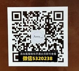 Amy Amy