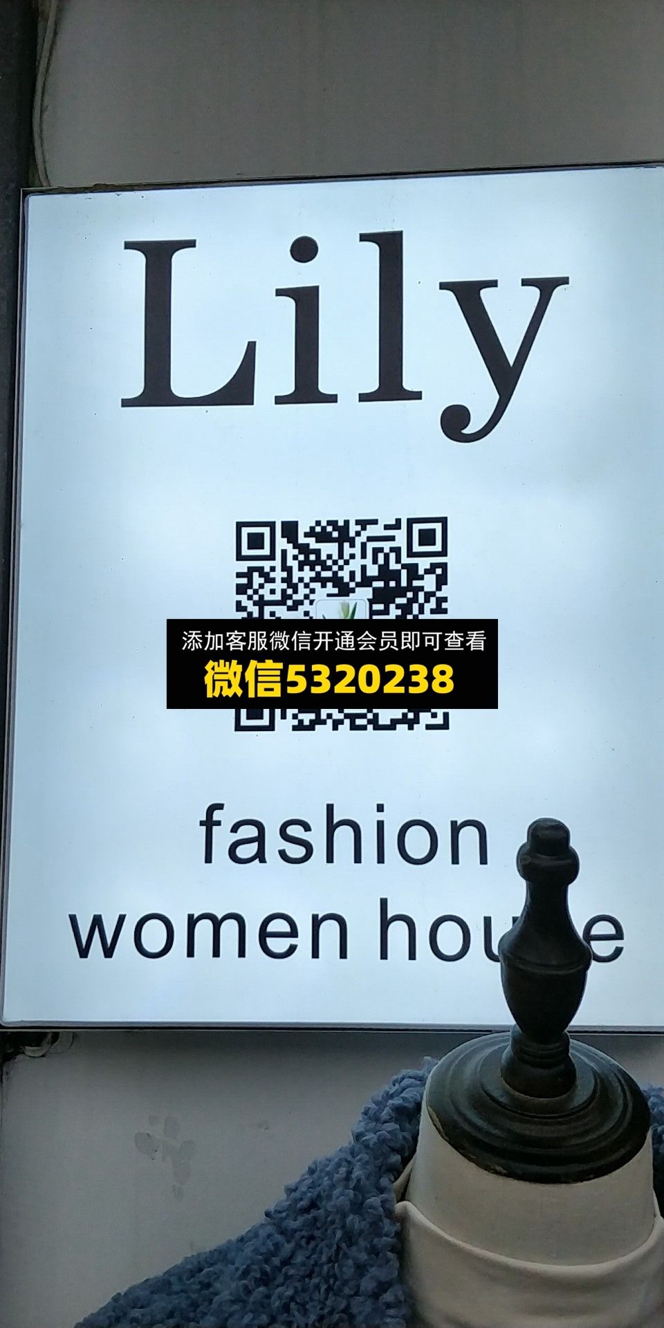 Lily Lily