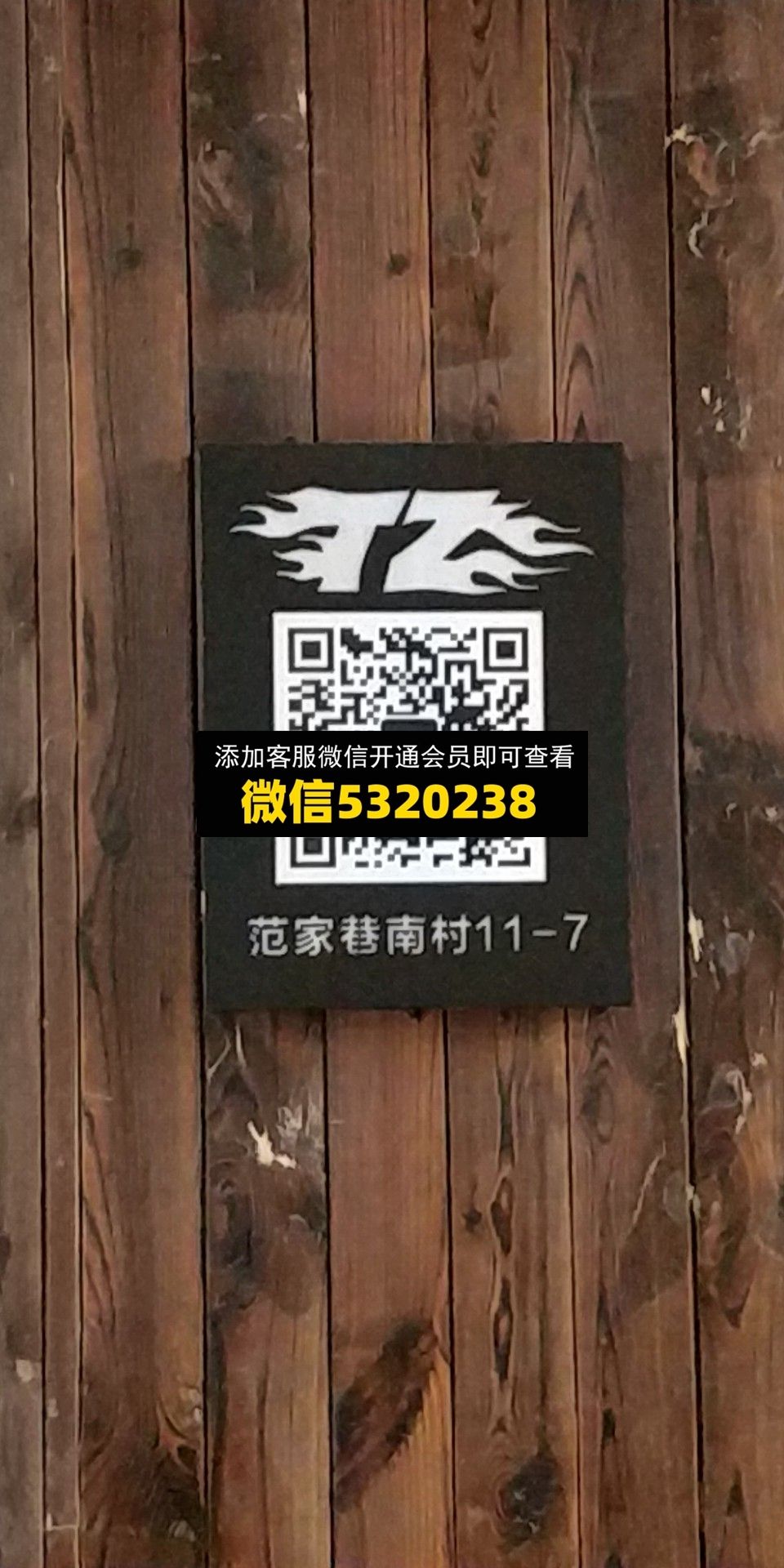 TZ