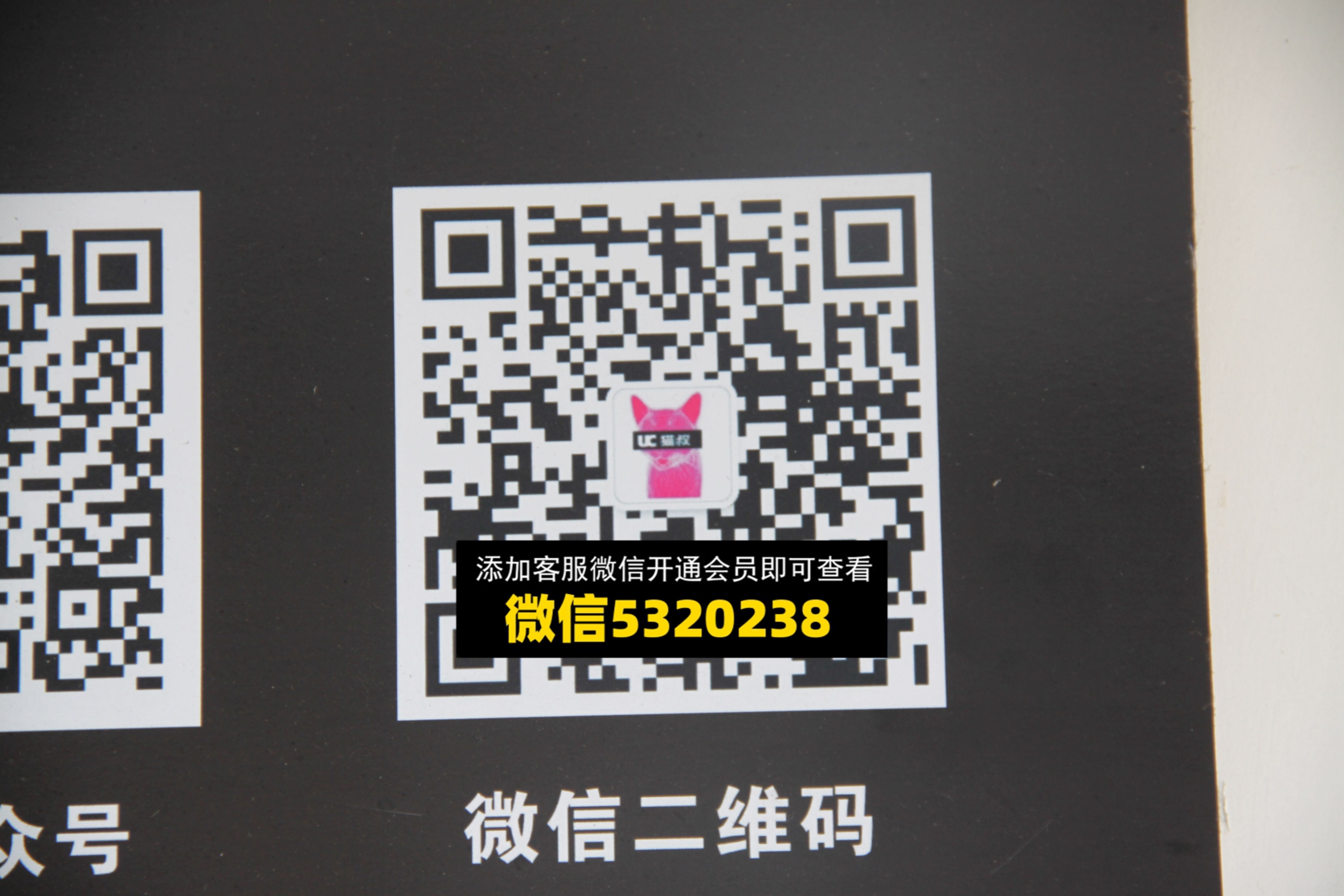UC猫叔 UC猫叔