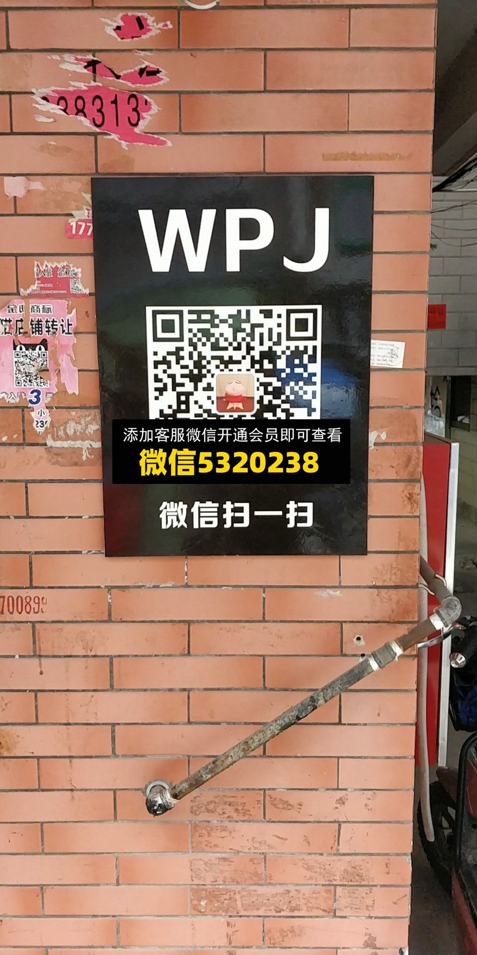 WPJ