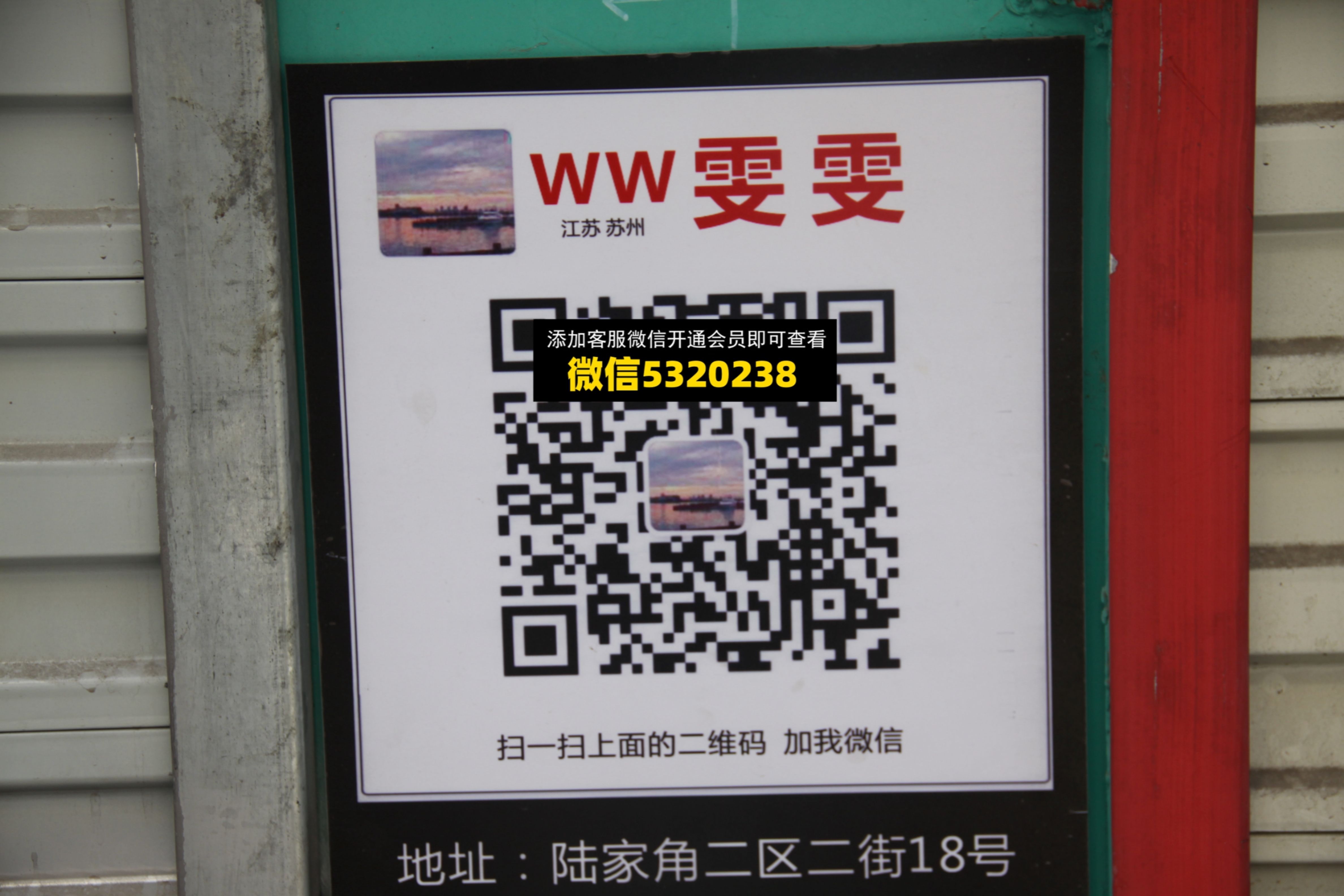 WW雯雯 WW雯雯