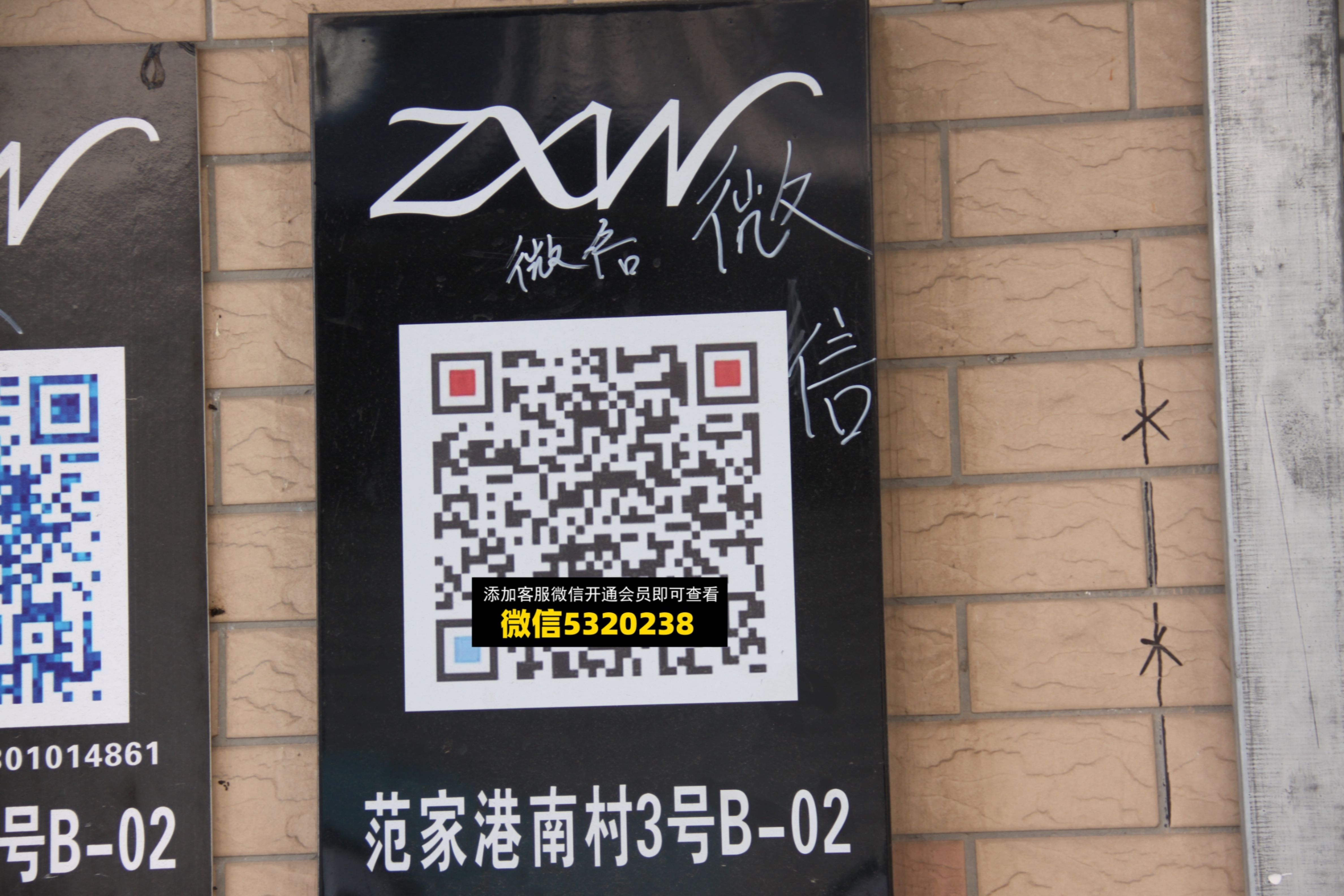 zxw zxw