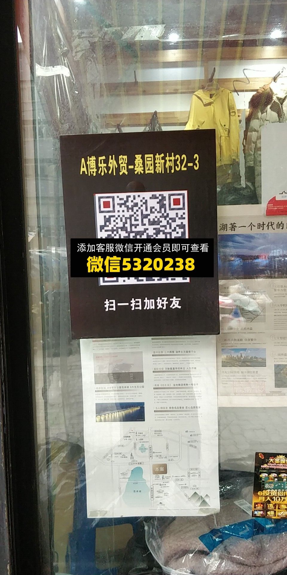 伯乐