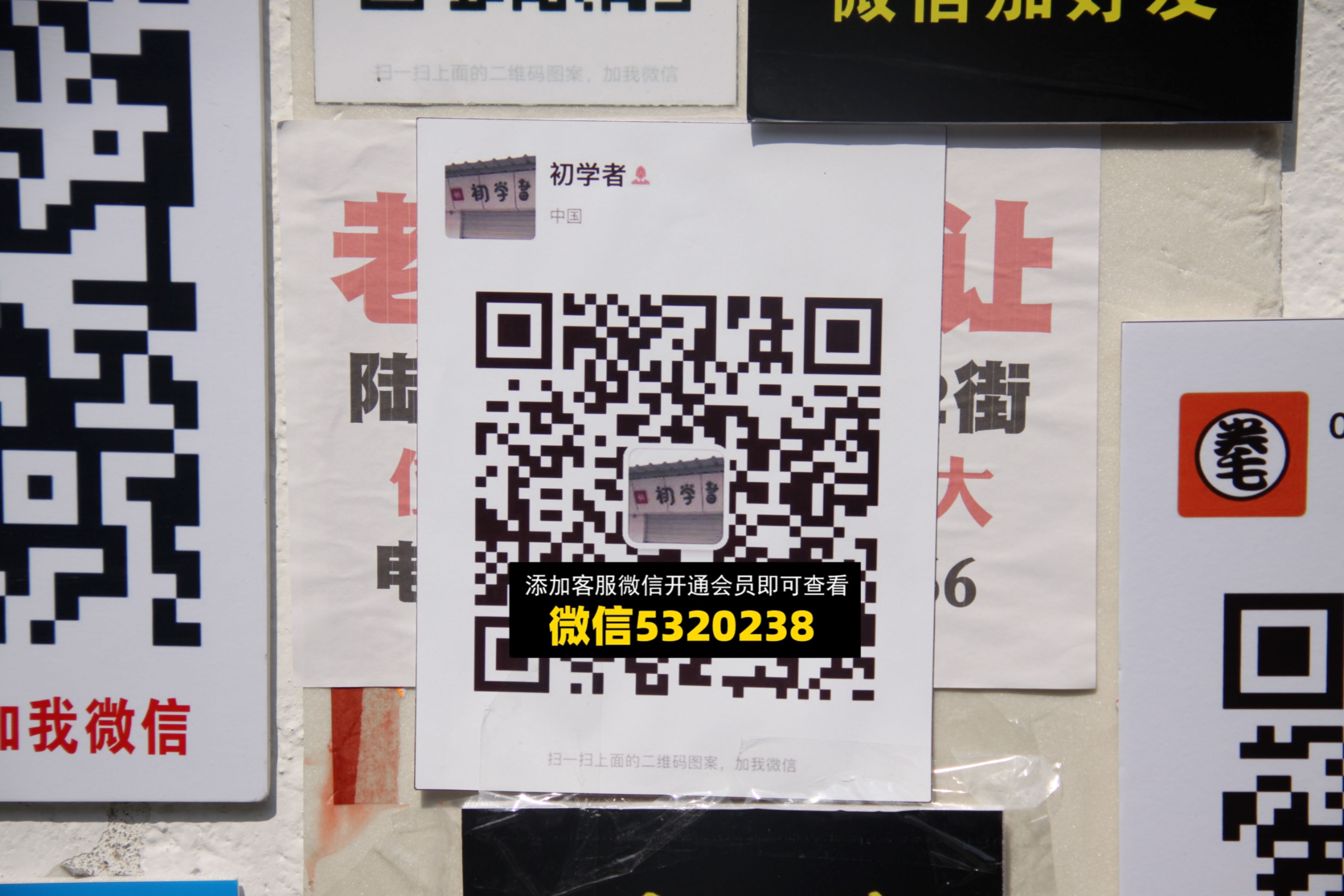 初学者