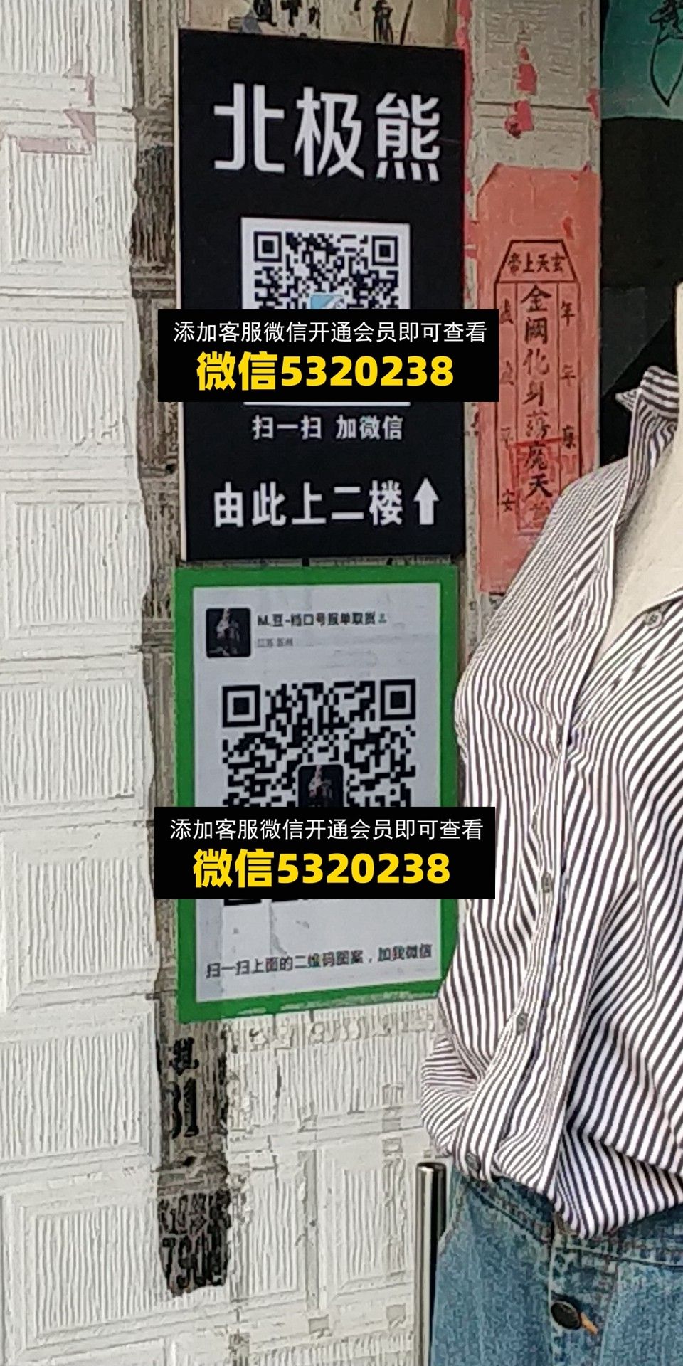 北极熊 A豆 北极熊 A豆