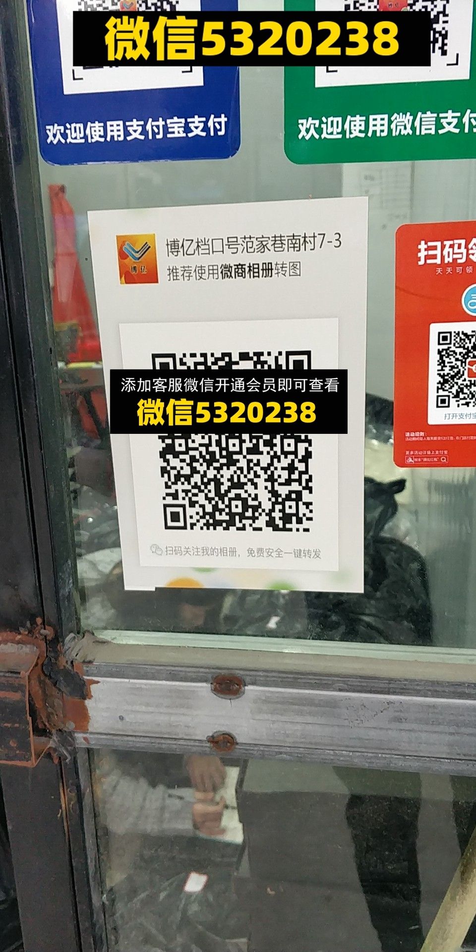博艺 博艺