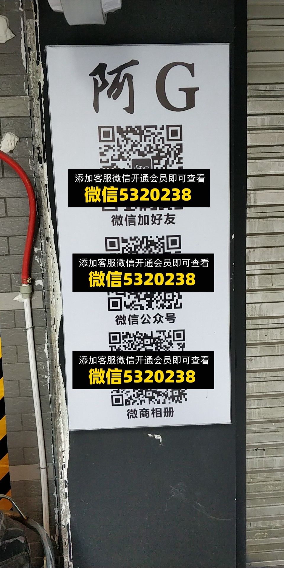 啊G 啊G