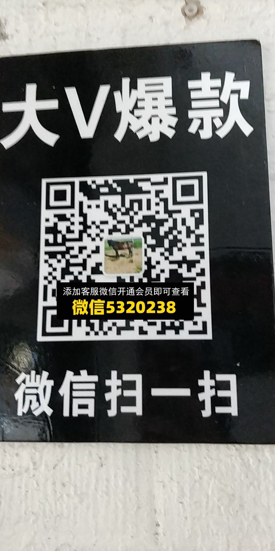 大V爆款 大V爆款