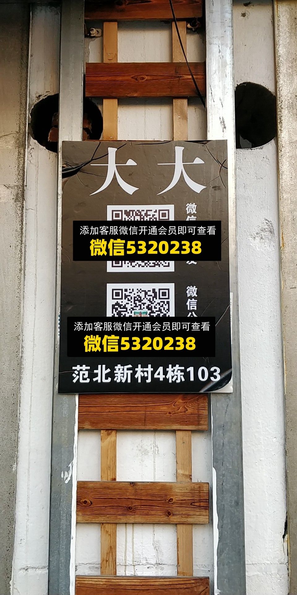 大大 大大