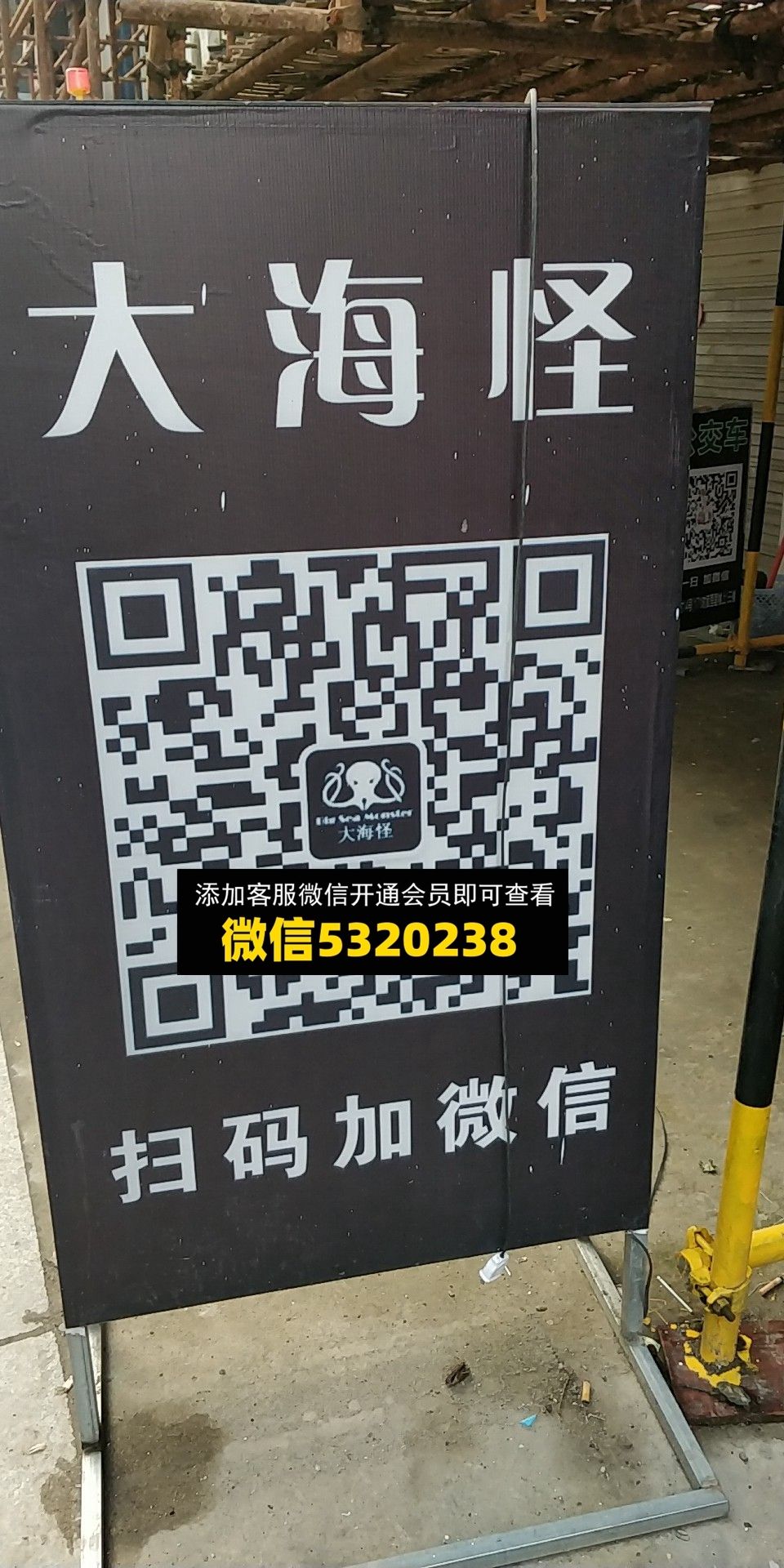 大海怪 大海怪