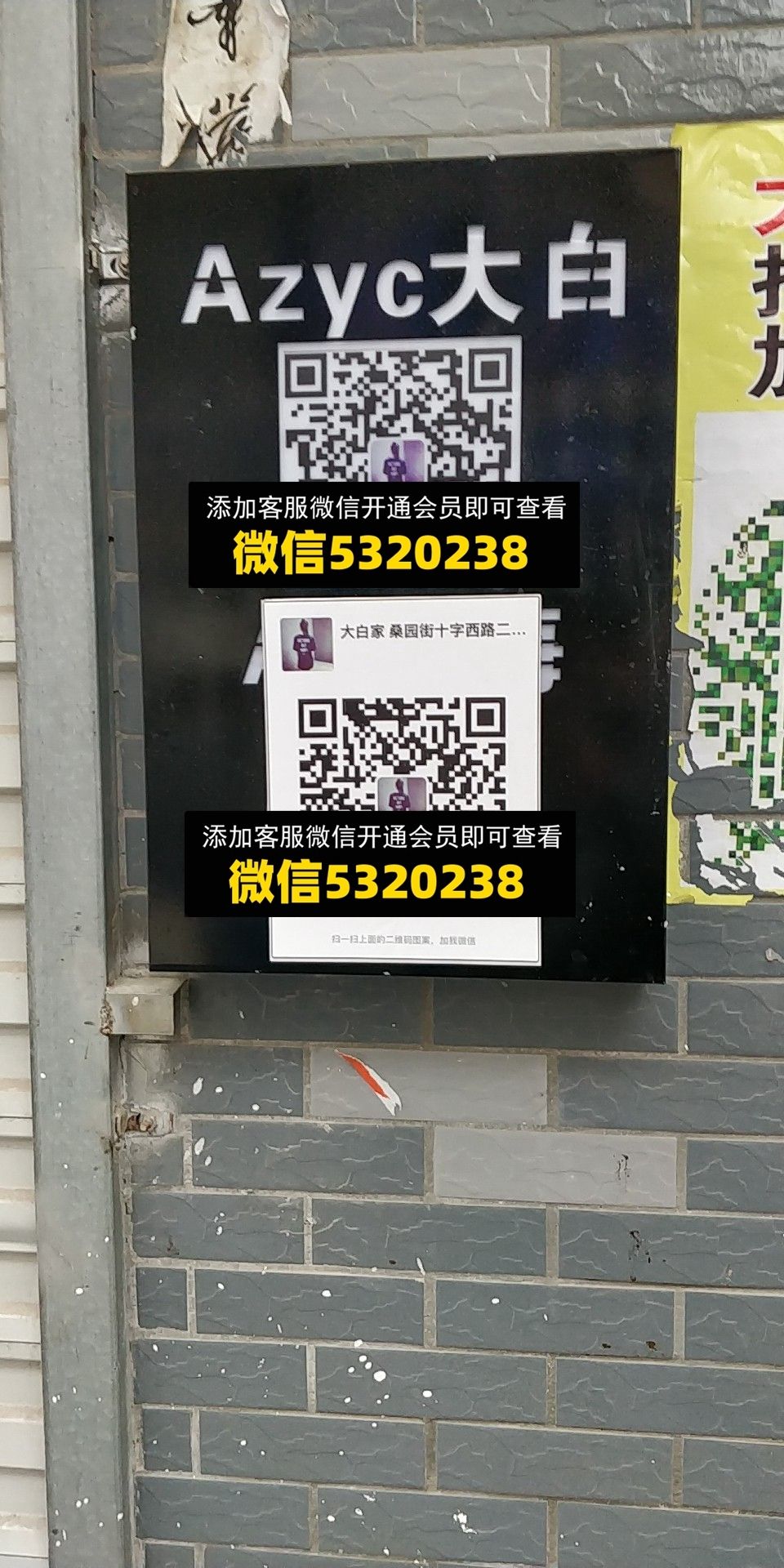 大白 大白