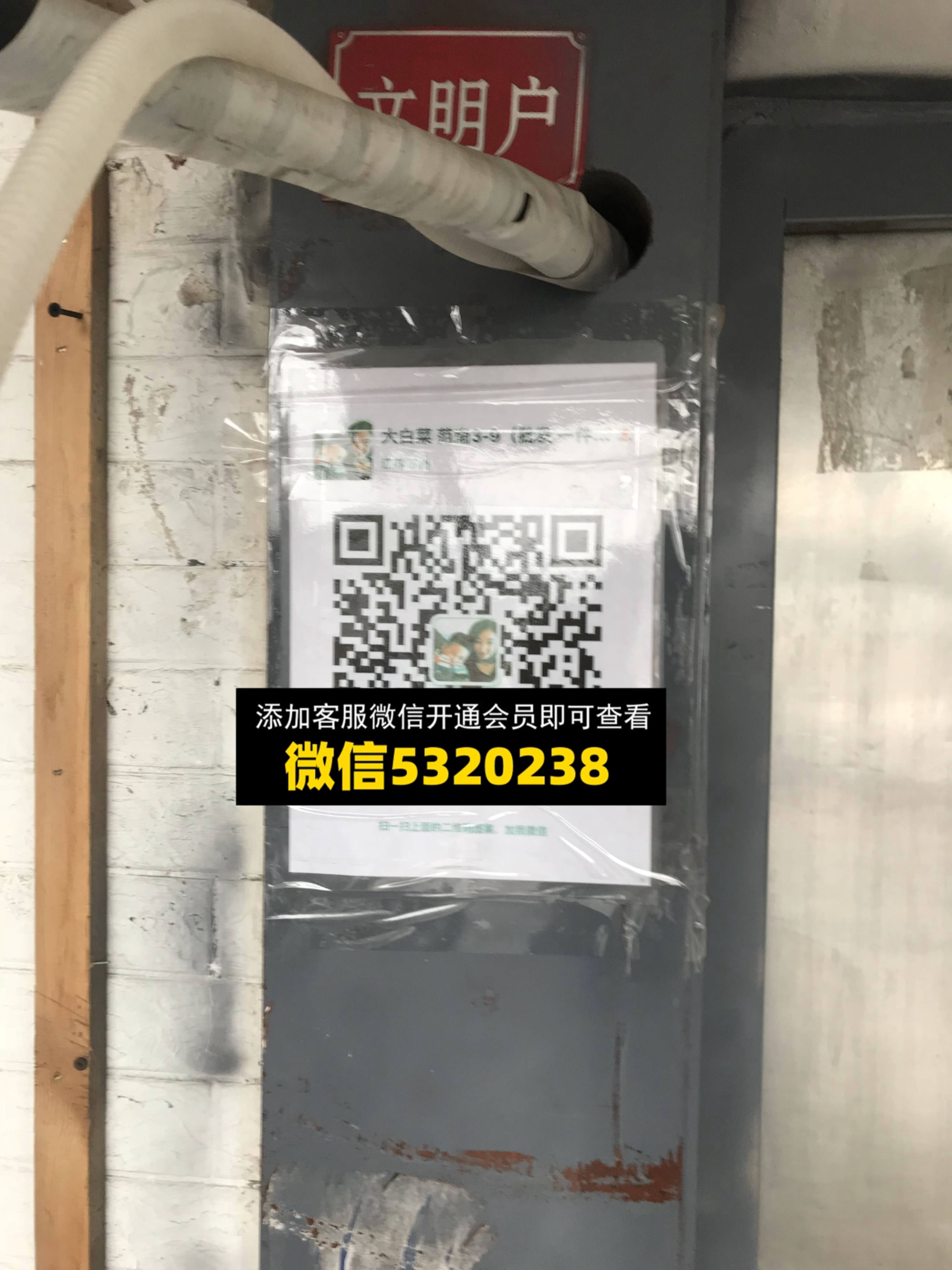 大白菜
