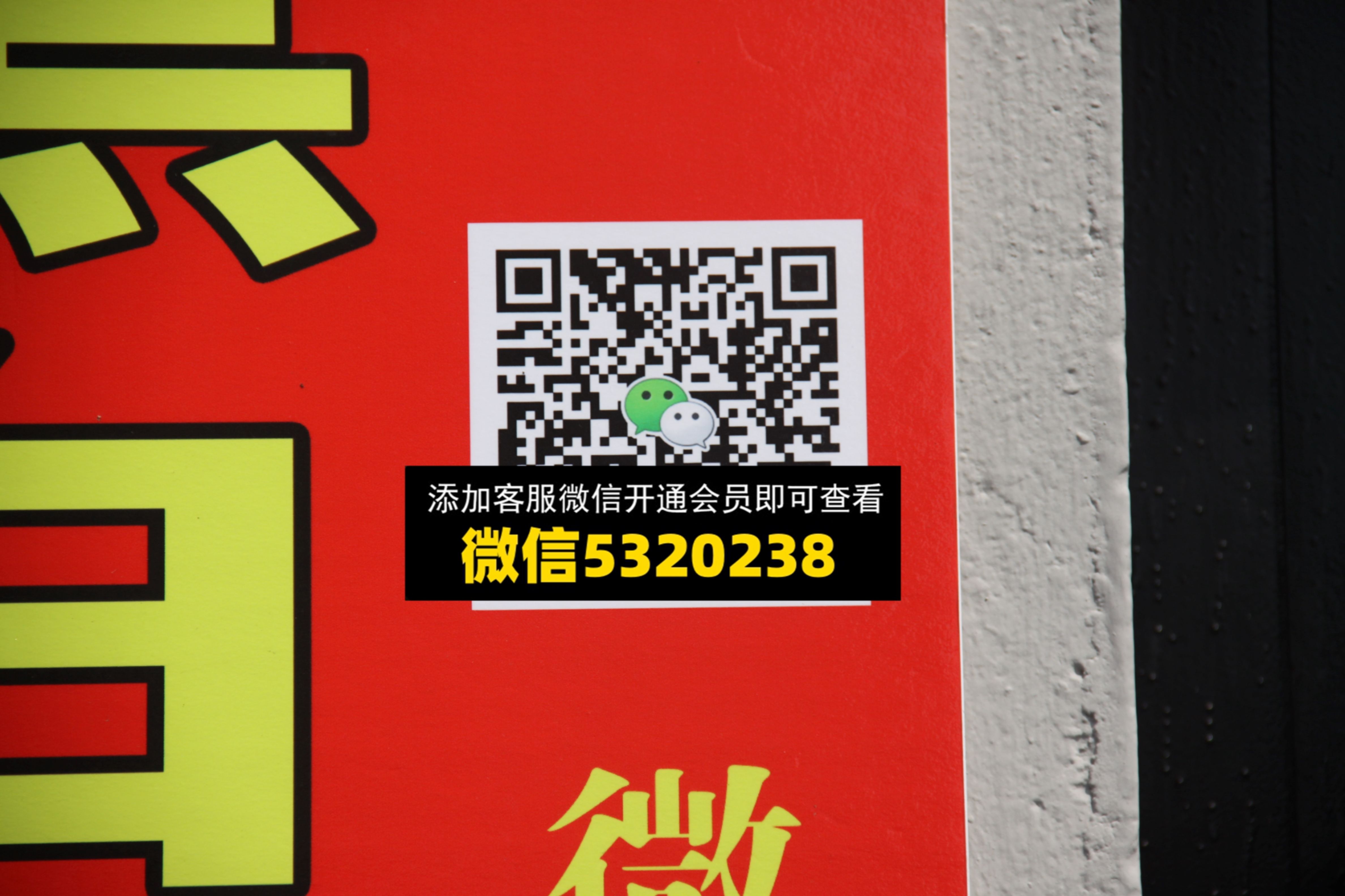 大码女装 (14) 大码女装 (14)