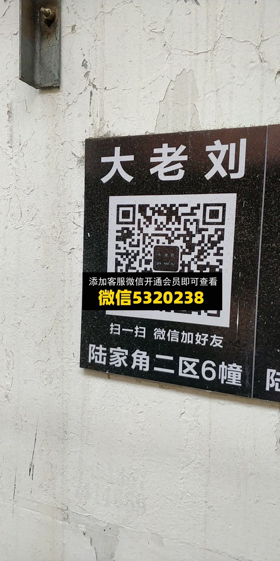 大老刘 大老刘