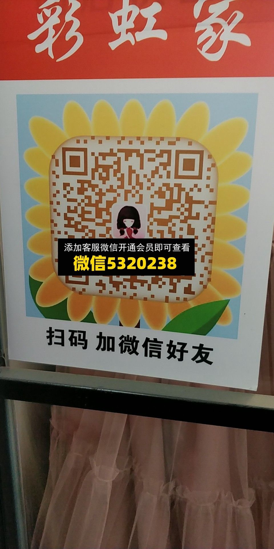 彩虹家 彩虹家