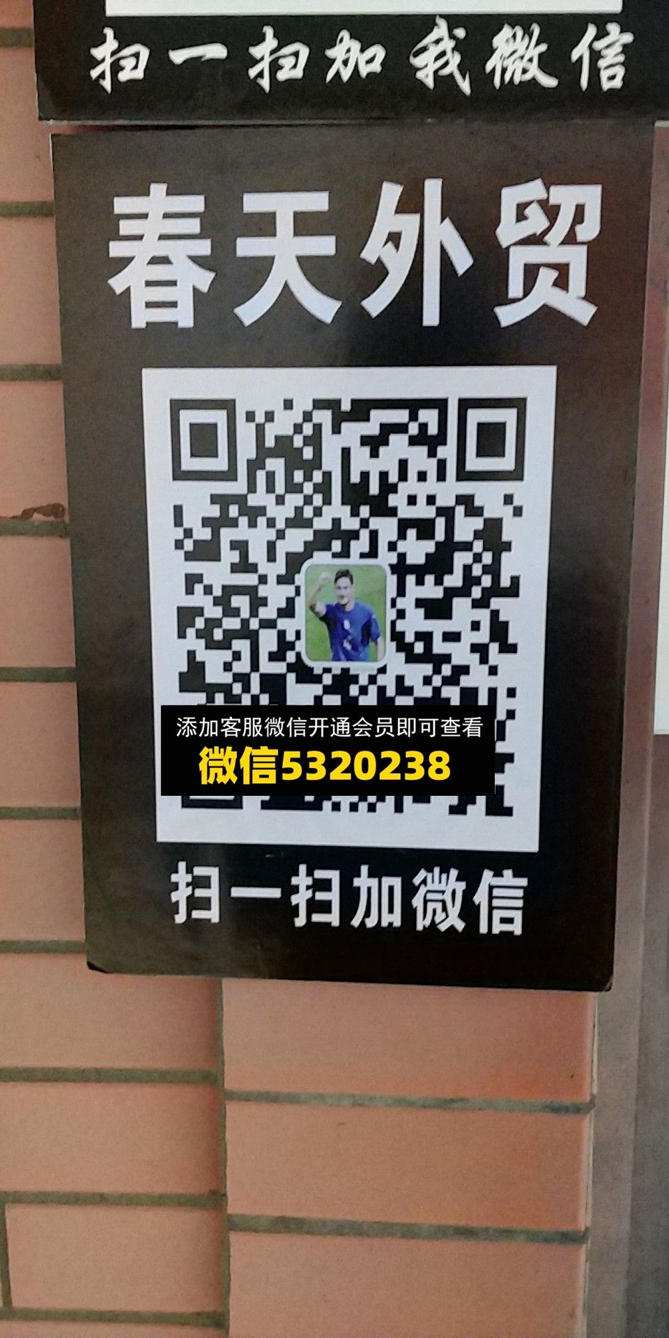 春天外贸 春天外贸