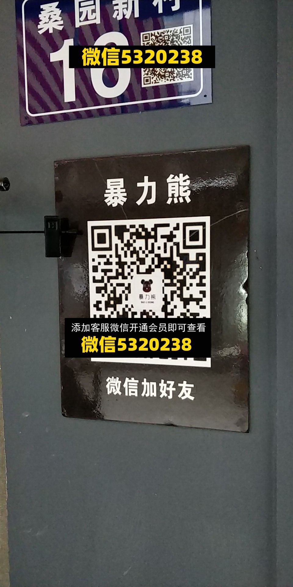 暴力熊 暴力熊