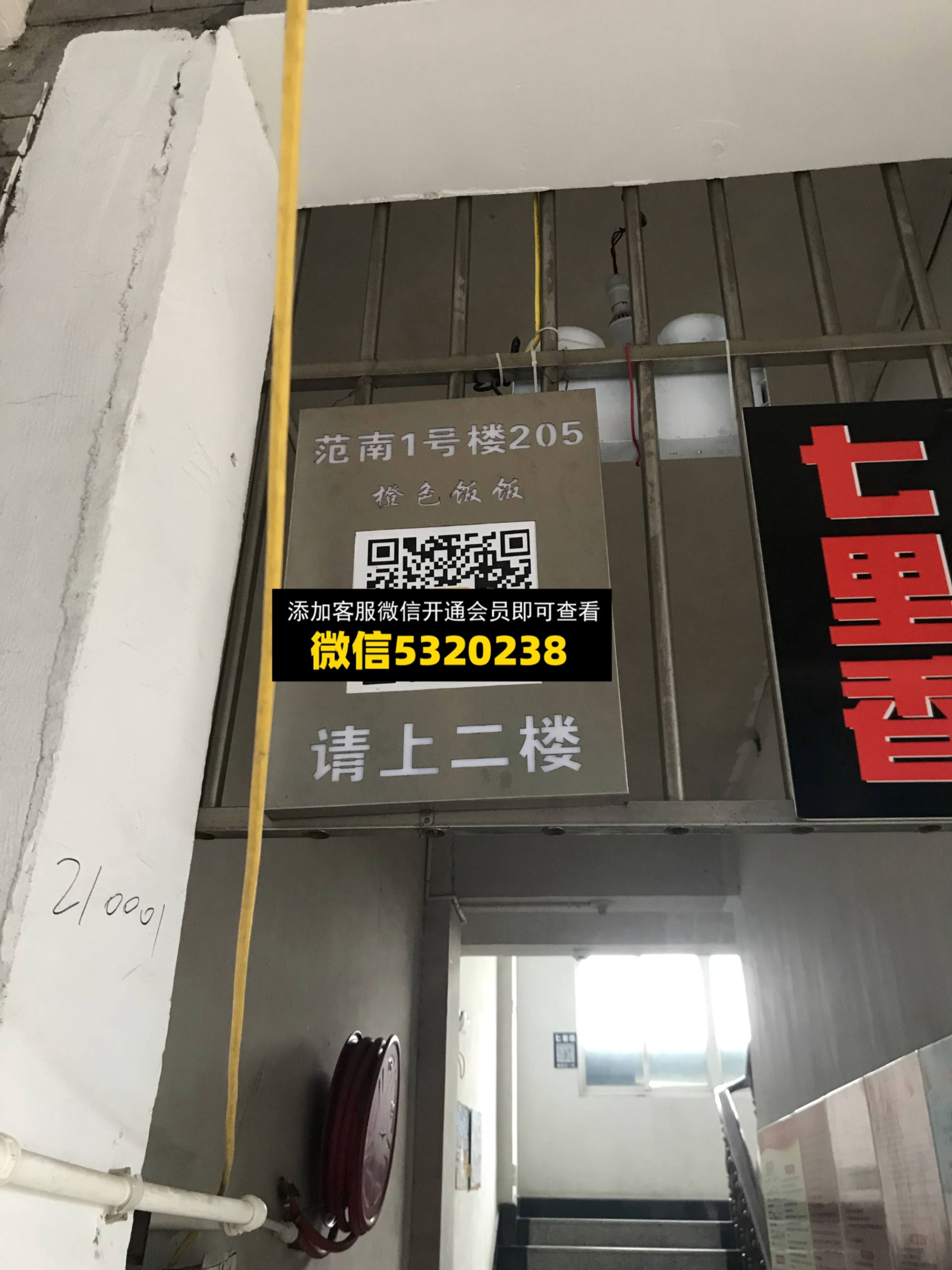 橙色饭饭 橙色饭饭