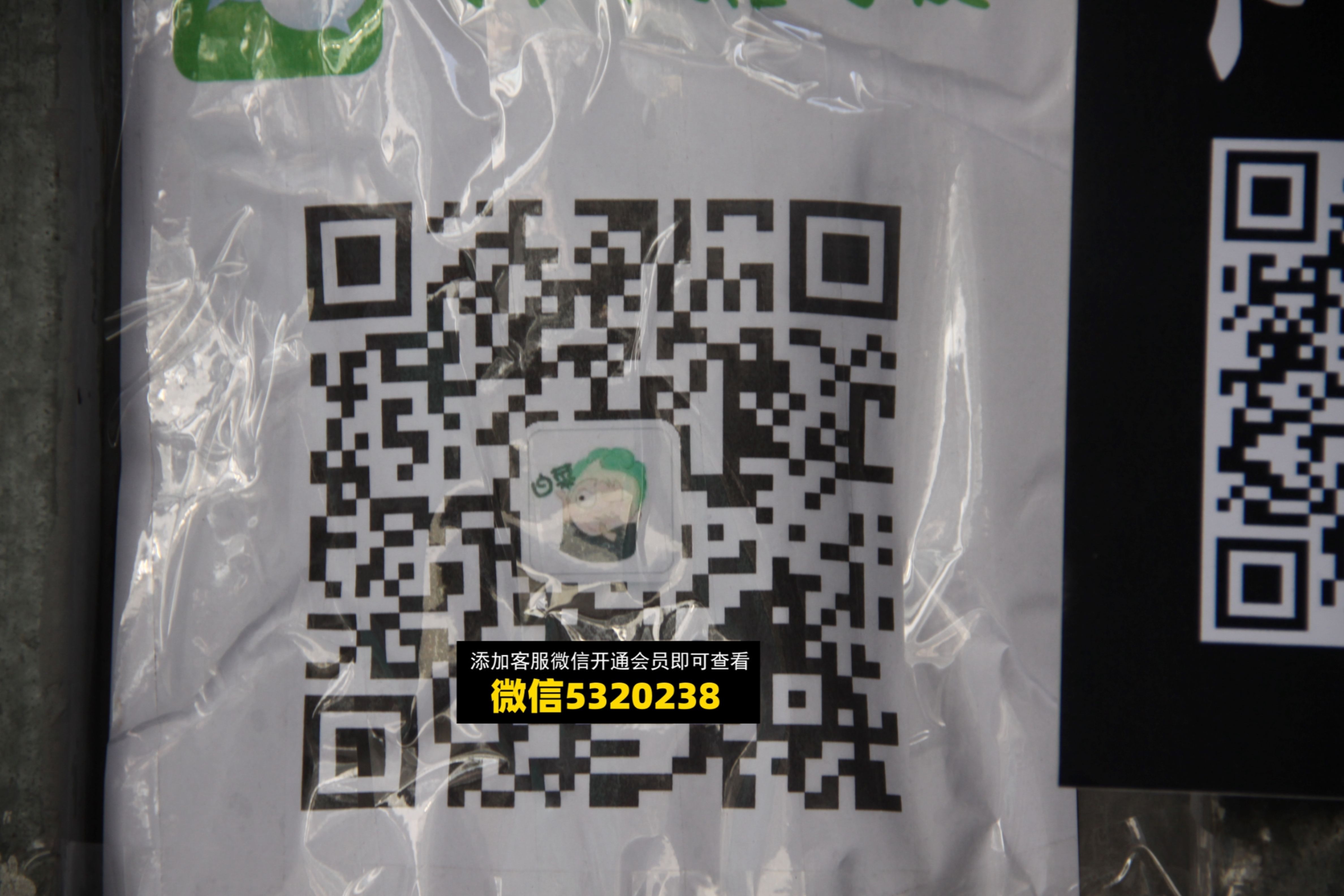 白菜 (2) 白菜 (2)