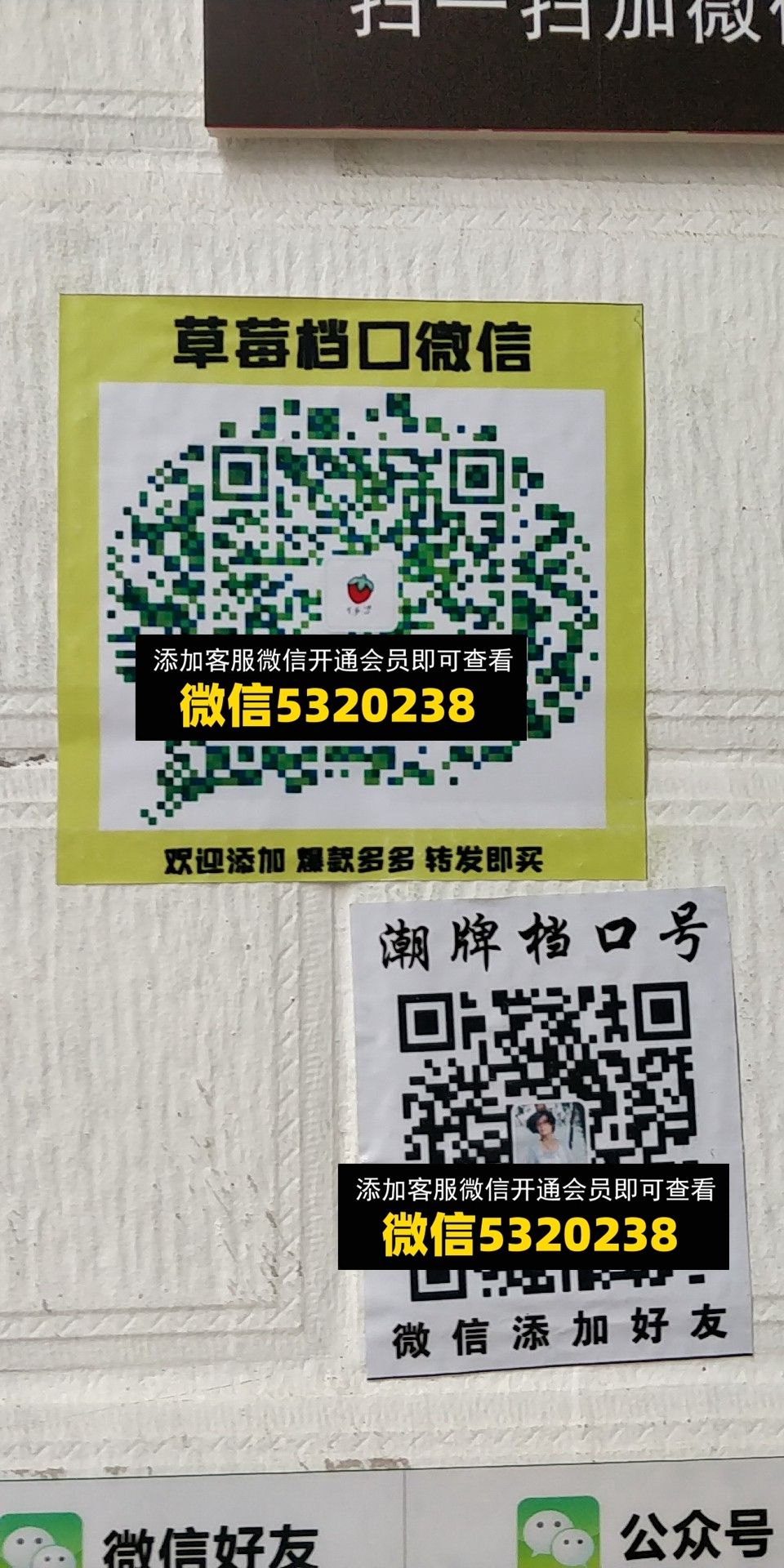 草莓 潮牌 草莓 潮牌