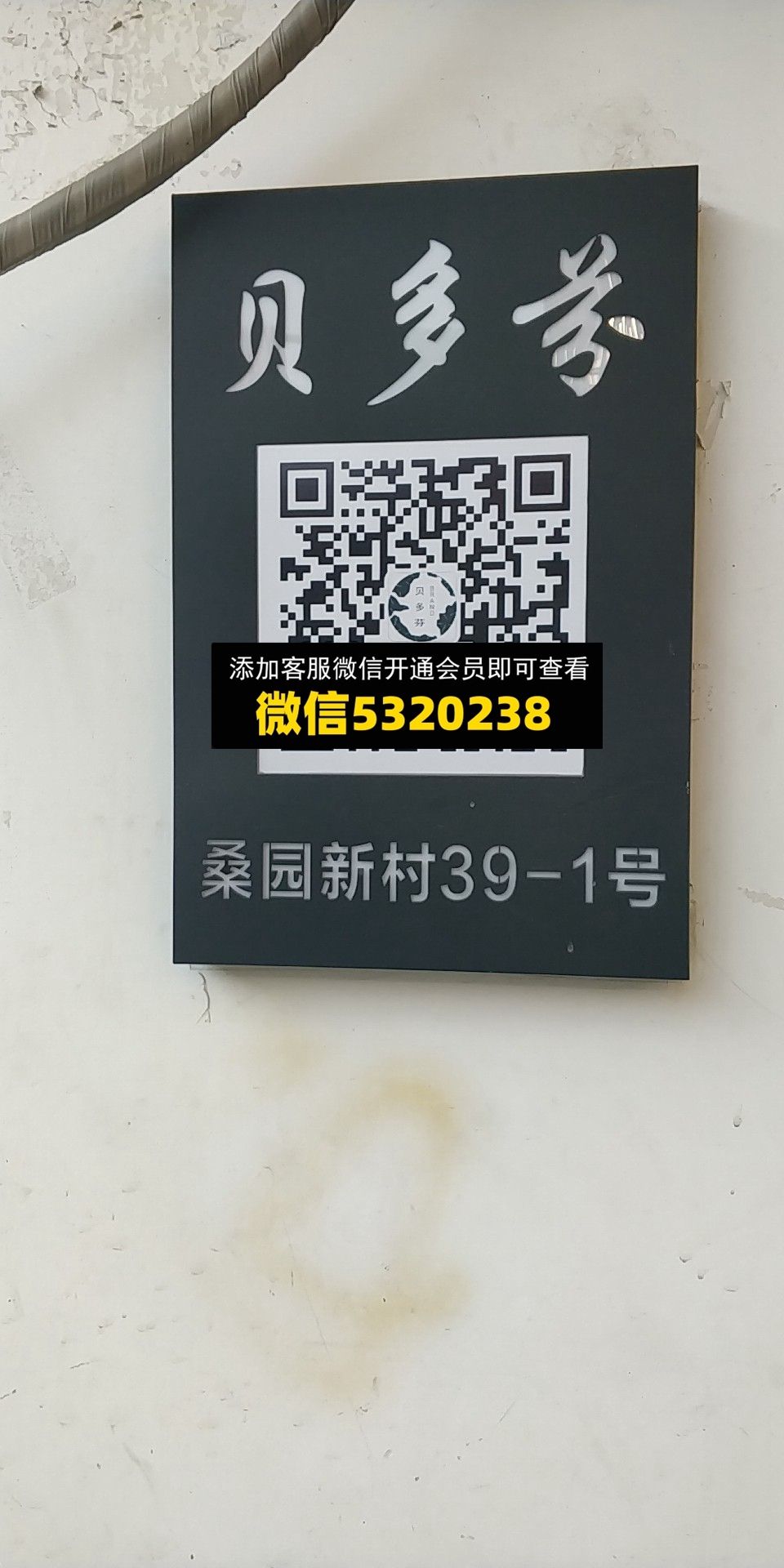 贝多芬 贝多芬