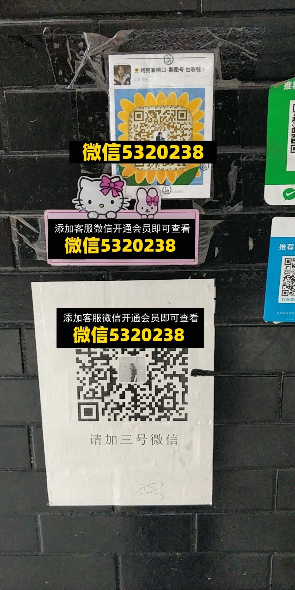 阿雯 阿雯