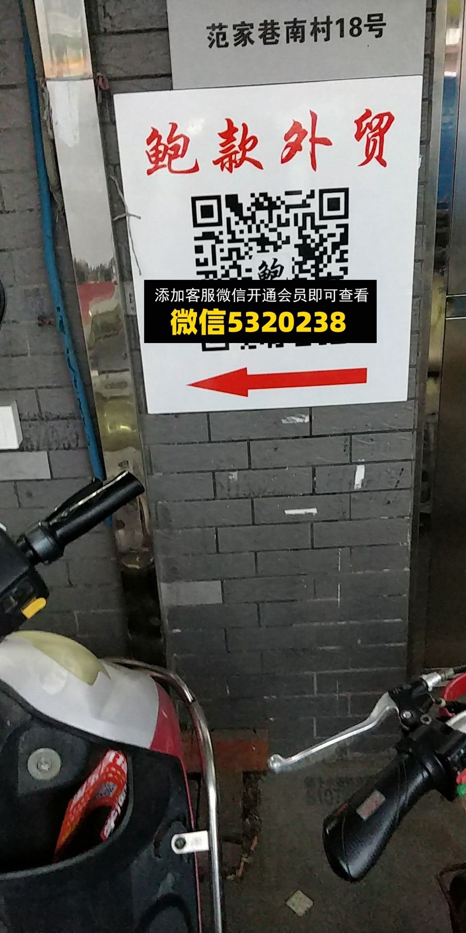 鲍款外贸 鲍款外贸