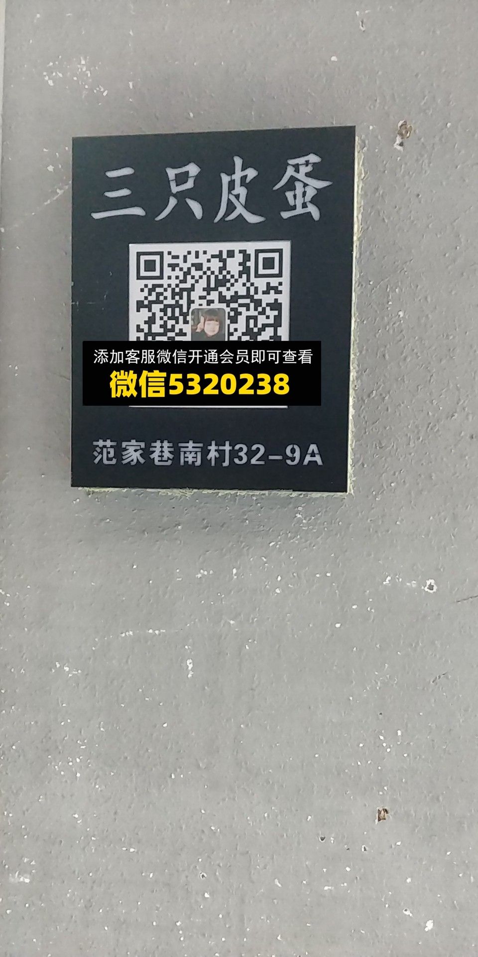 三只皮蛋 三只皮蛋
