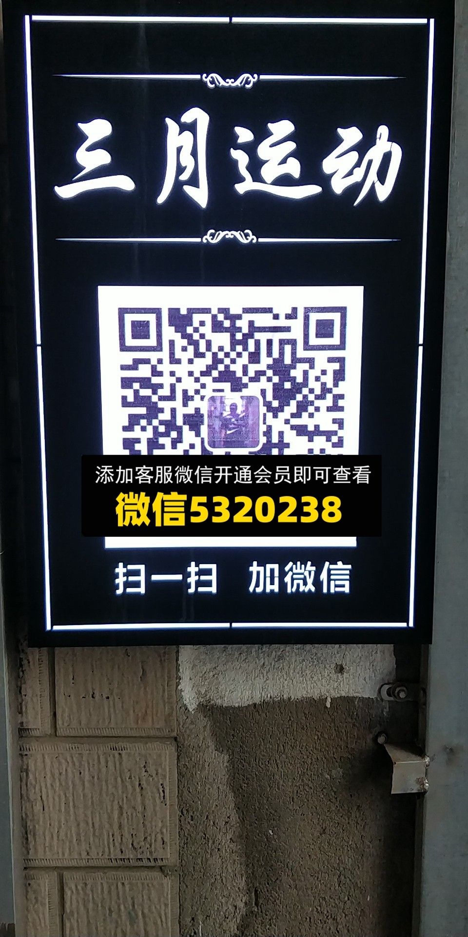 三月运动 三月运动
