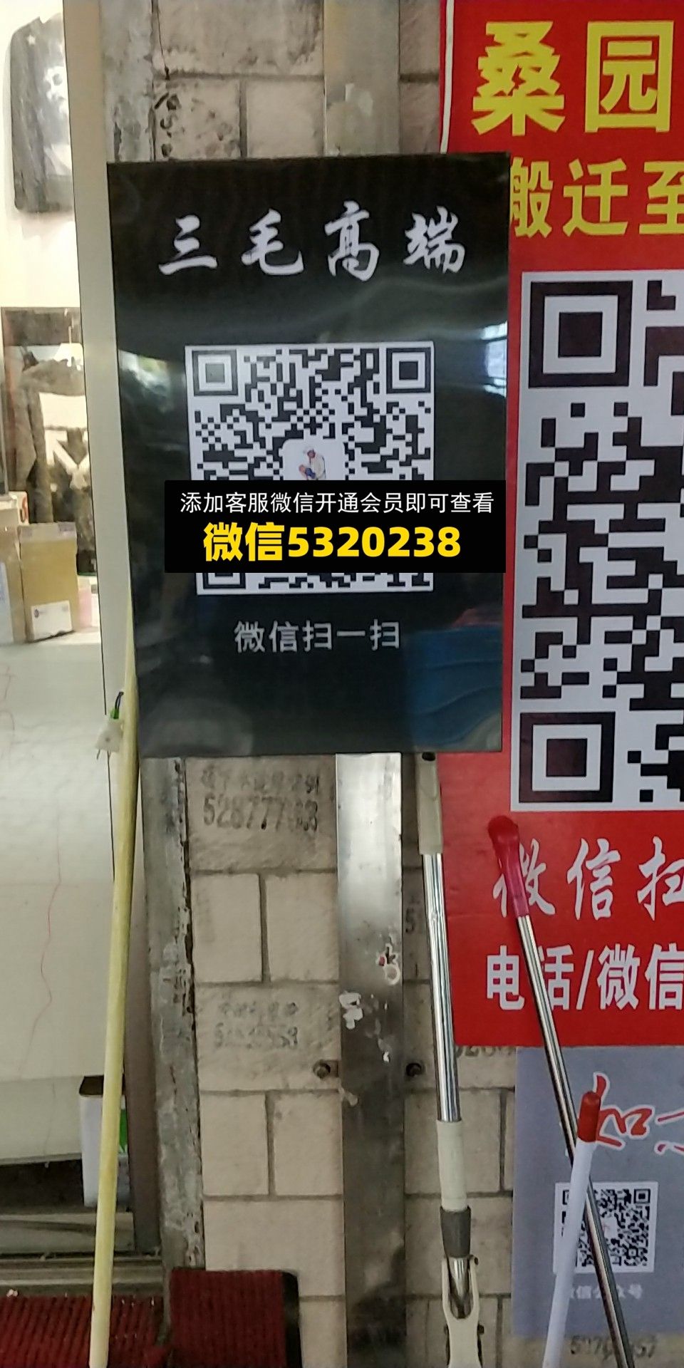 三毛 三毛