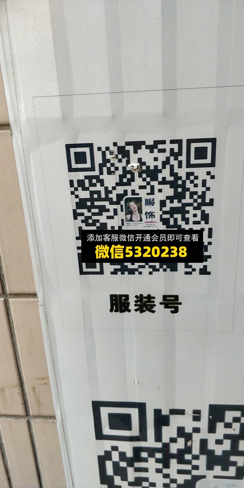 乐乐外贸2 乐乐外贸2