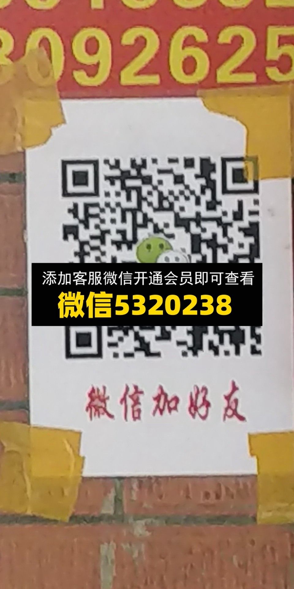 伊美外贸 伊美外贸