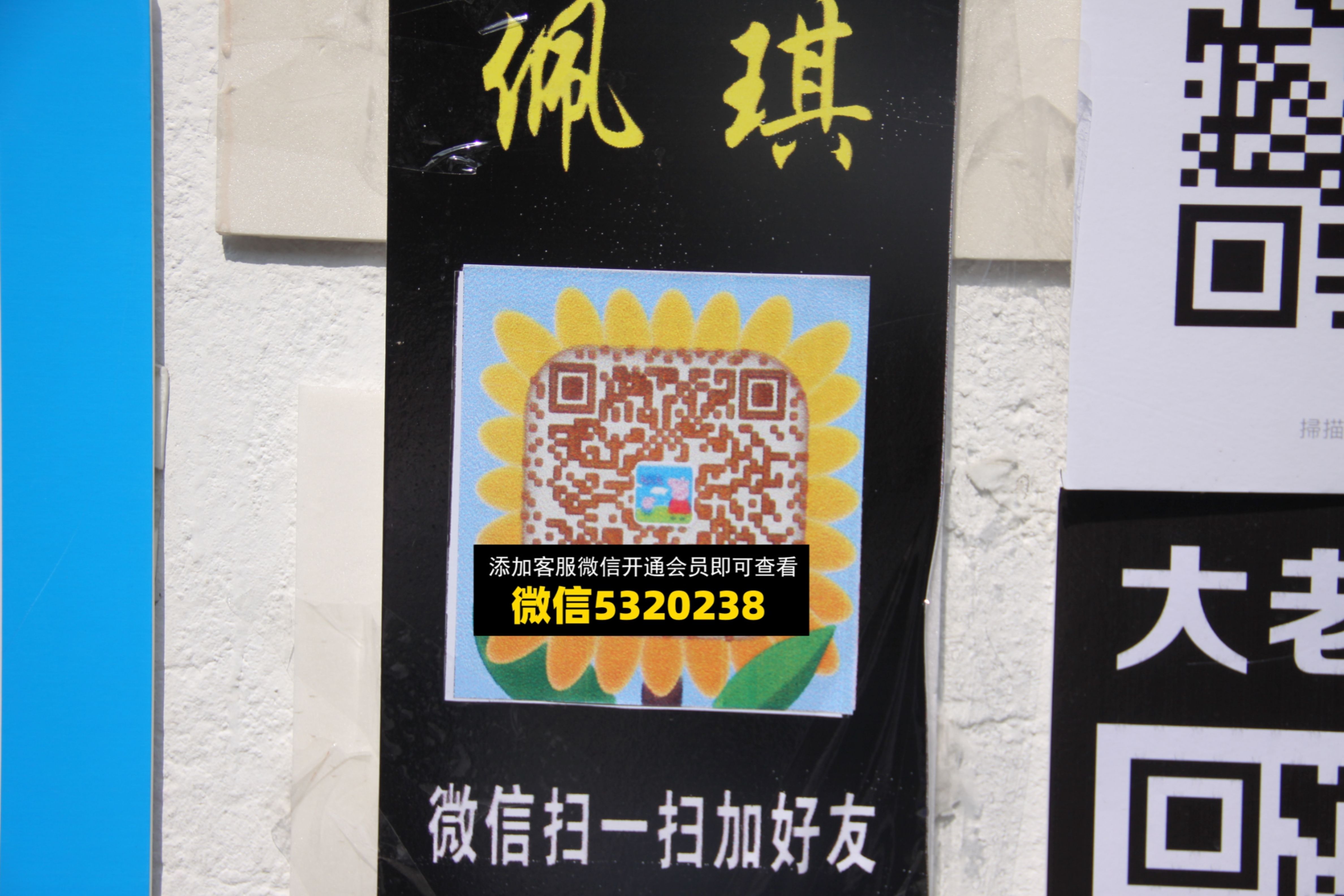 佩琪 佩琪