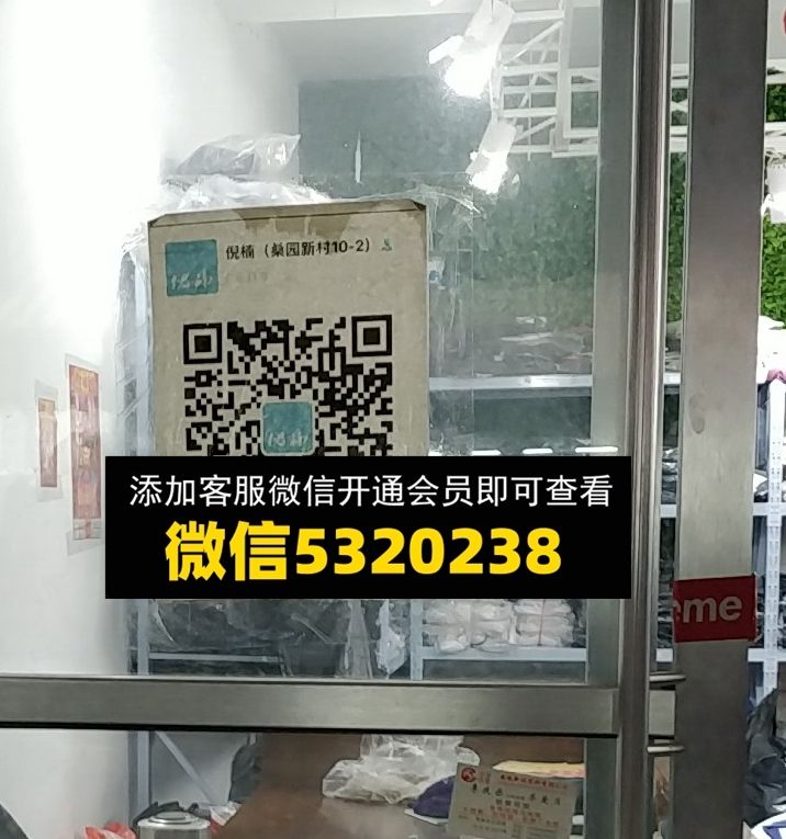 倪楠 倪楠