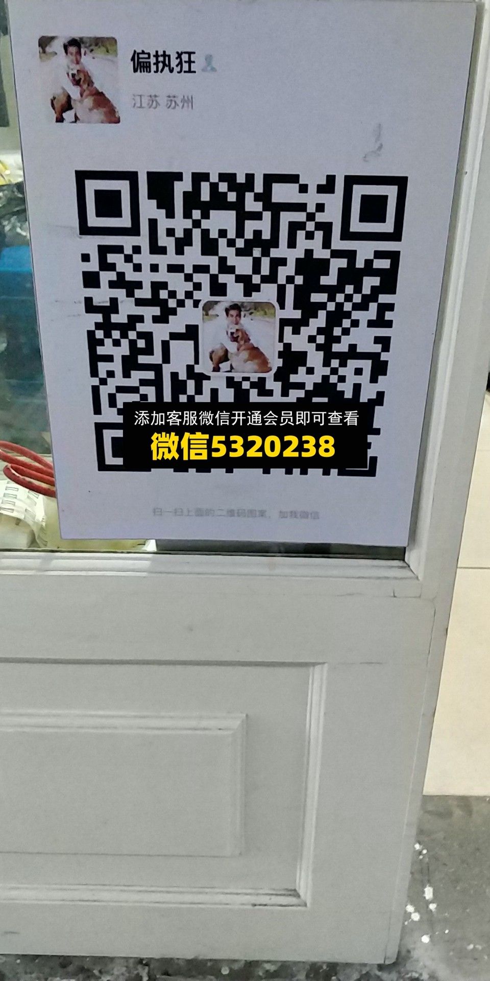 偏执狂 偏执狂