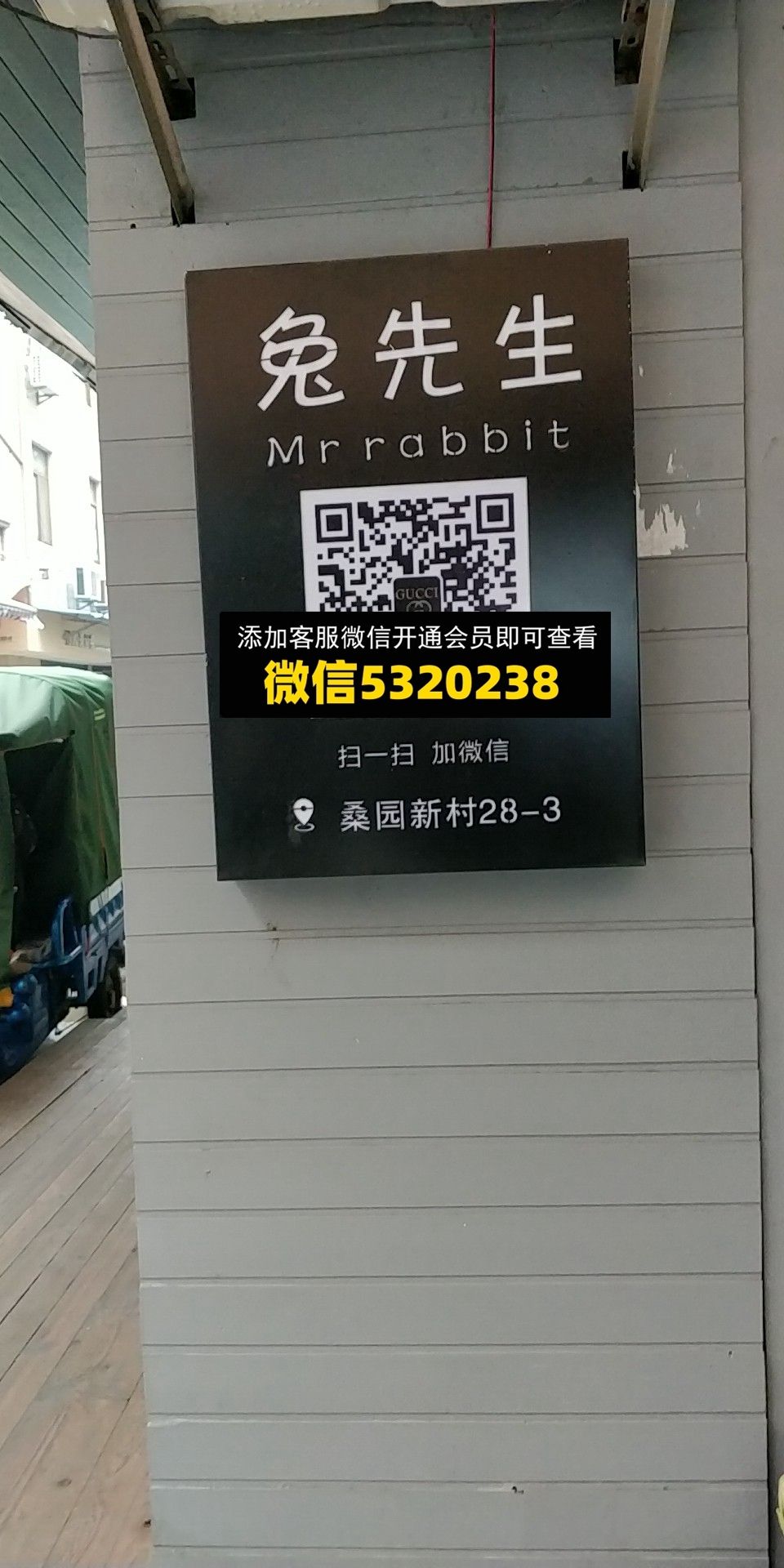 兔先生 兔先生