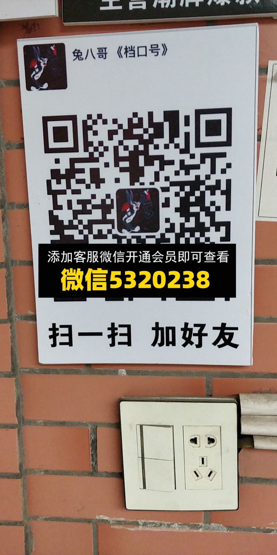兔八哥 兔八哥