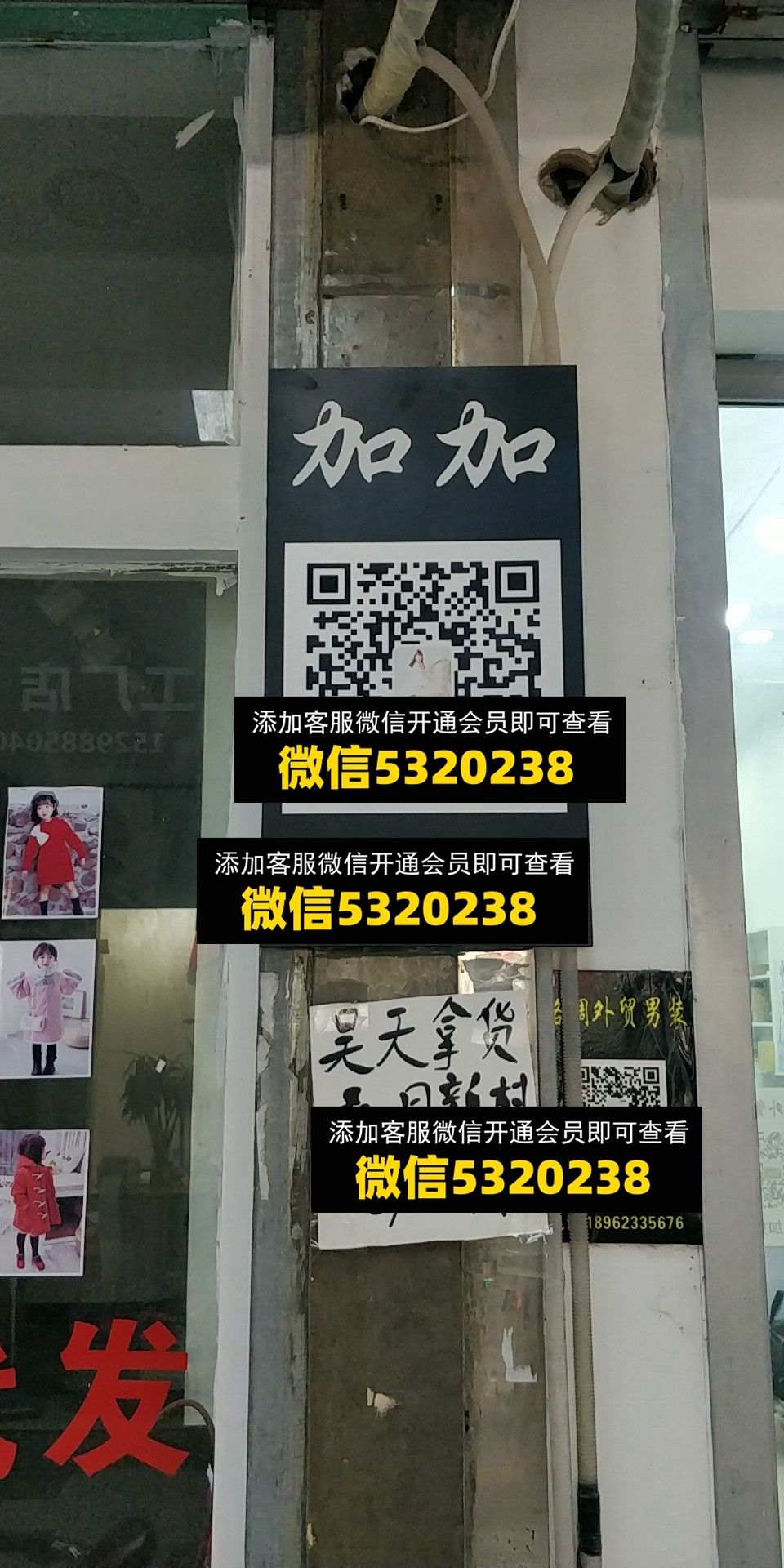 加加 加加